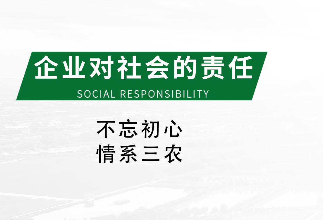 ҵ