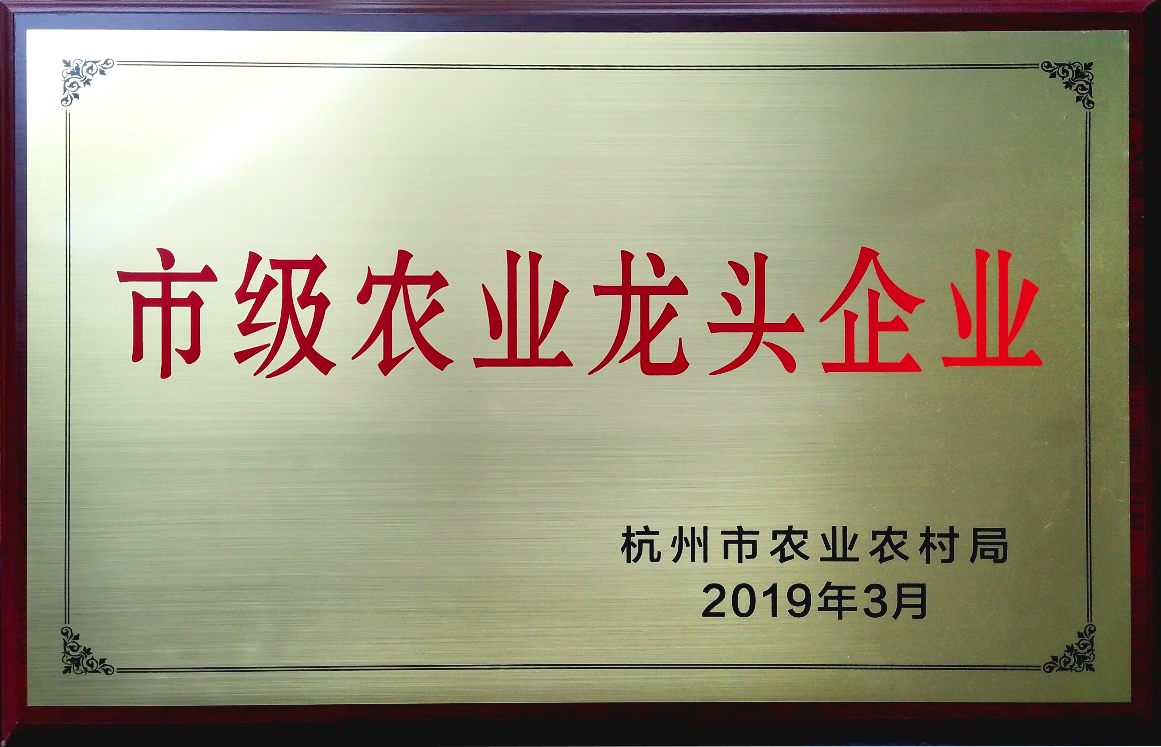 437Ӯмͷҵ(2019)